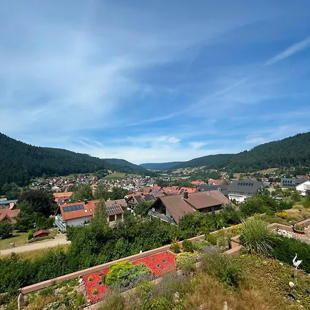 Baiersbronner Bluetenbrise - Balkon & Schwarzwaldblick - Mein Schwarzwaldhaeusle Gmbh 아파트