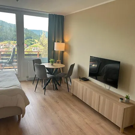 Baiersbronner Bluetenbrise - Balkon & Schwarzwaldblick - Mein Schwarzwaldhaeusle Gmbh 아파트 *